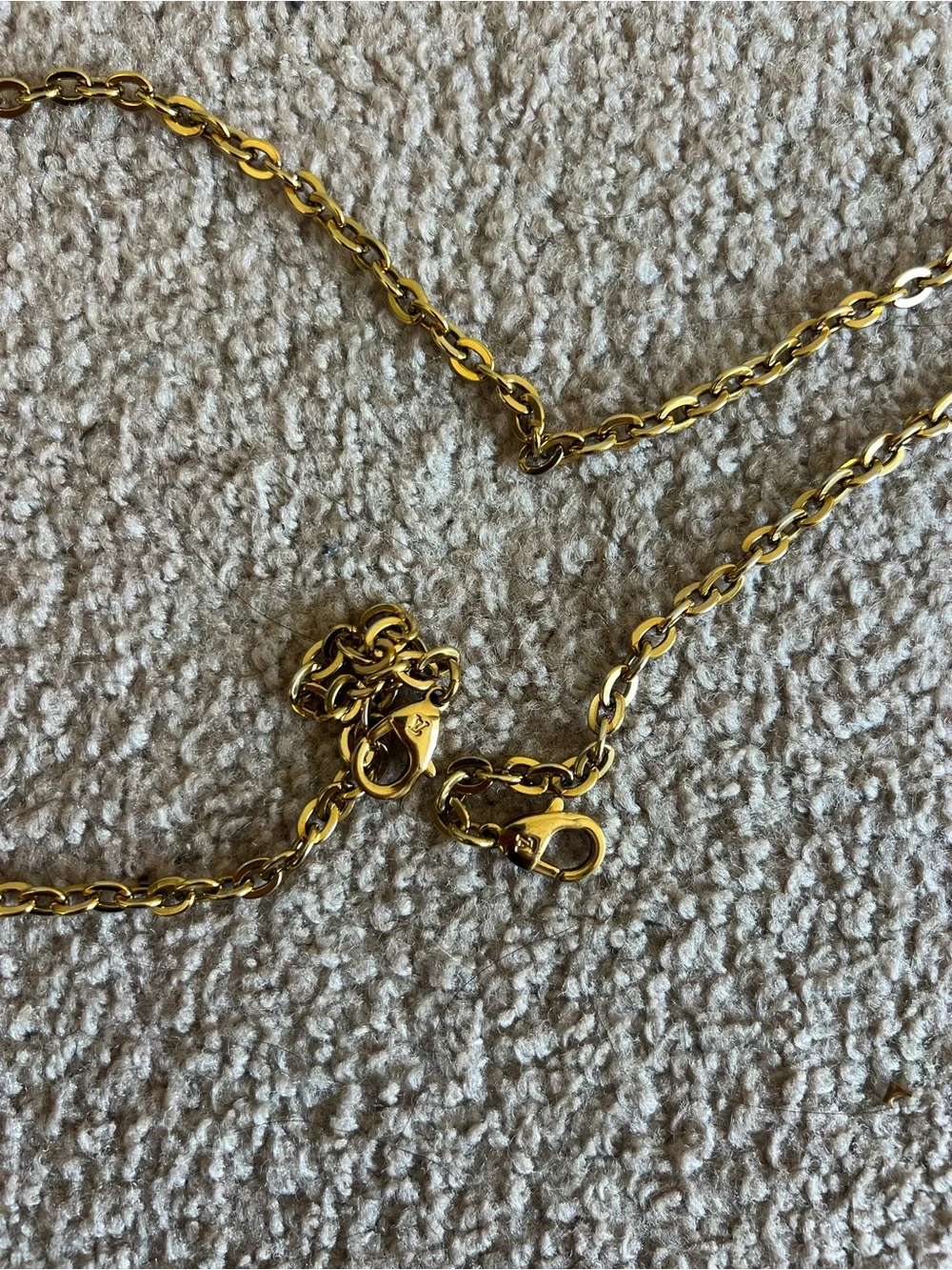 Louis Vuitton authentic louis